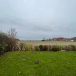 Haus Willi Mit Hund In *