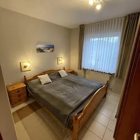 Haus Willi Mit Hund In * Schillig