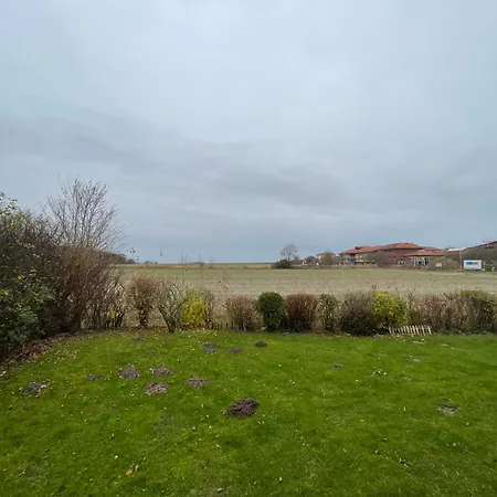 Haus Willi Mit Hund In *