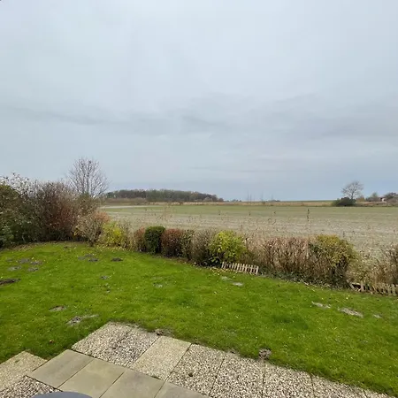 Haus Willi Mit Hund In