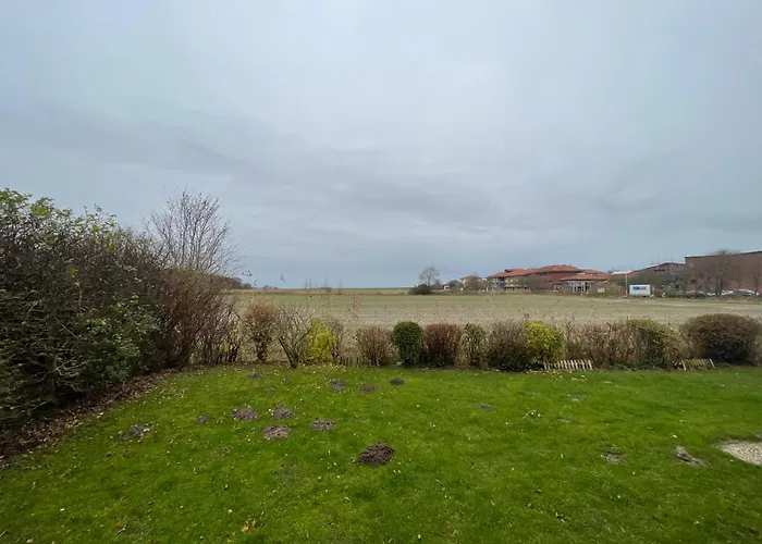 Haus Willi Mit Hund In *