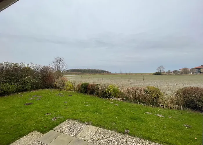 Haus Willi Mit Hund In